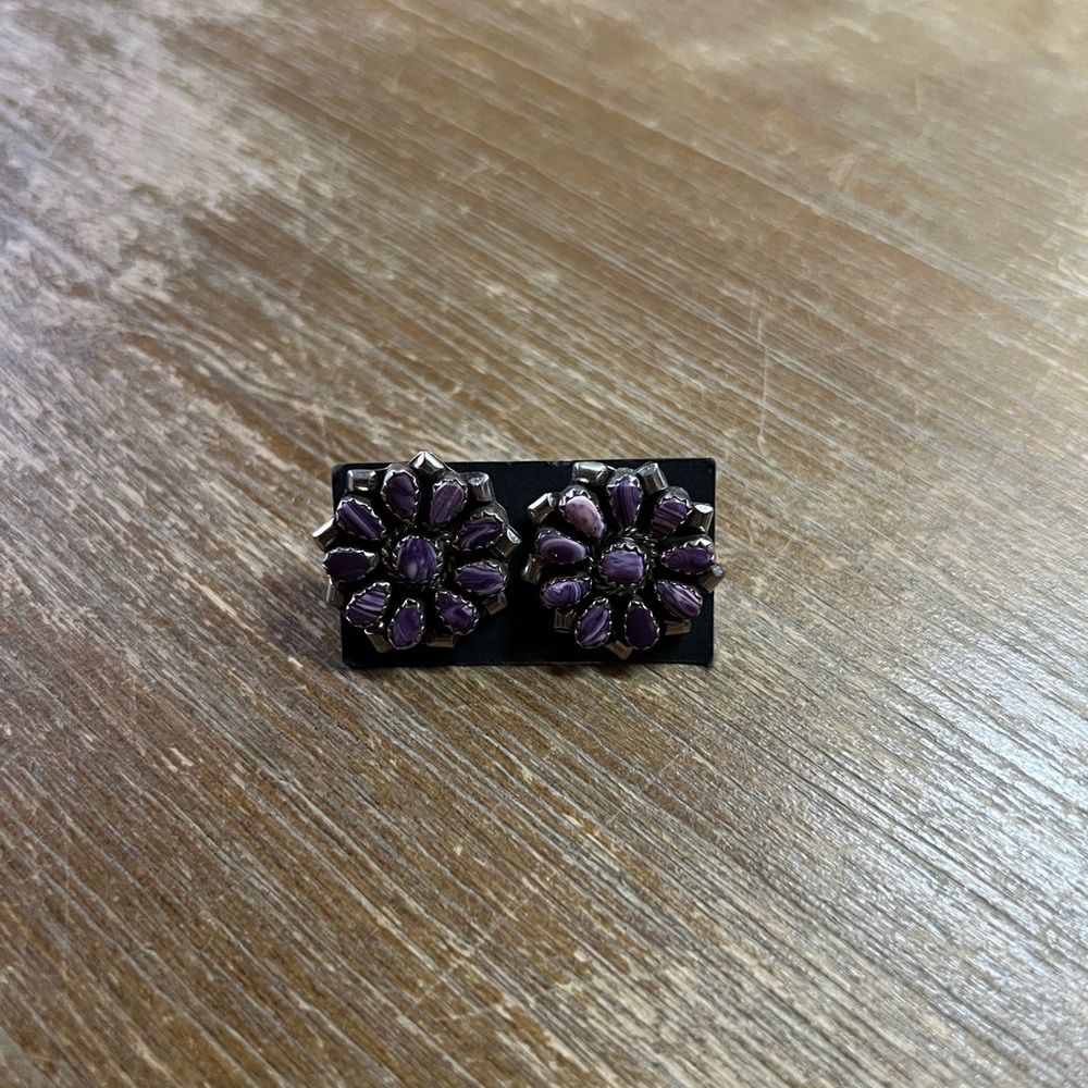 Native American earrings